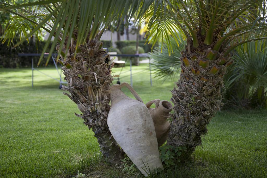 B&B Villa Seta Agrigento Bagian luar foto